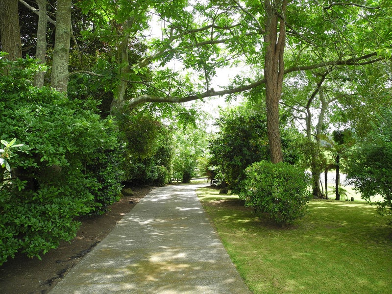 650 State Highway 3, Otorohanga - Carousel 1