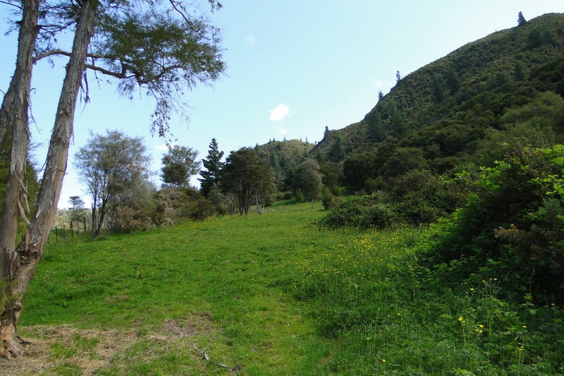 0 Craigieburn Road, Atarau, Blackball - Carousel 2