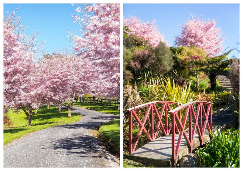 155 Waitekauri Road, Waikino, Waihi - Carousel 50