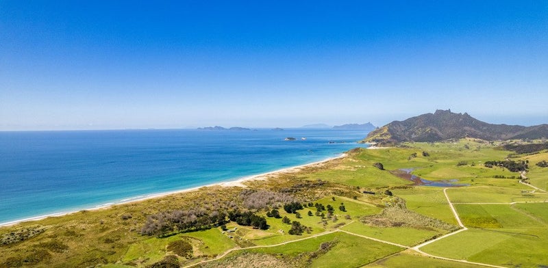 85 Blue Horizon Road, Whangarei - Carousel 46