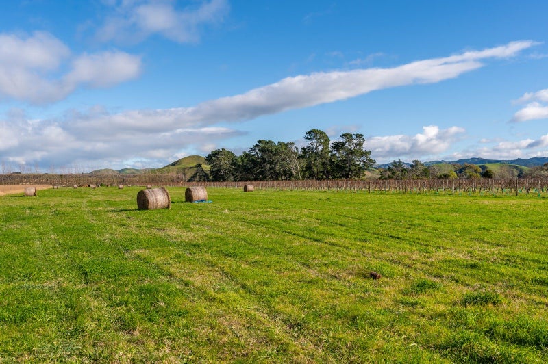 527C Main North Road, Bay View, Napier - Carousel 23