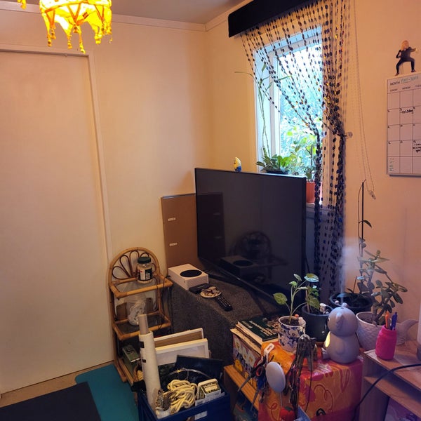 64 Norway Street, Aro Valley, Wellington - Carousel 2