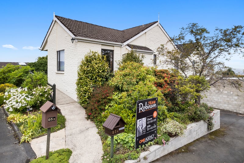25A Sheen Street, Roslyn, Dunedin - Carousel 1
