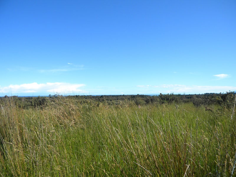 29C Reg Cox Drive, Blue Spur, Hokitika - Carousel 9