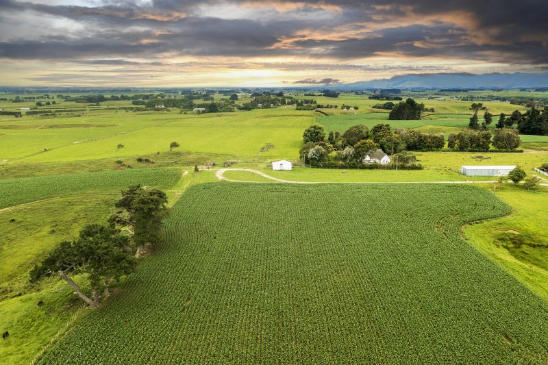 0 Koputaroa Road, Koputaroa, Shannon - Carousel 1