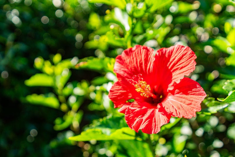 8 Grove Road, Mangawhai Heads, Mangawhai - Carousel 32