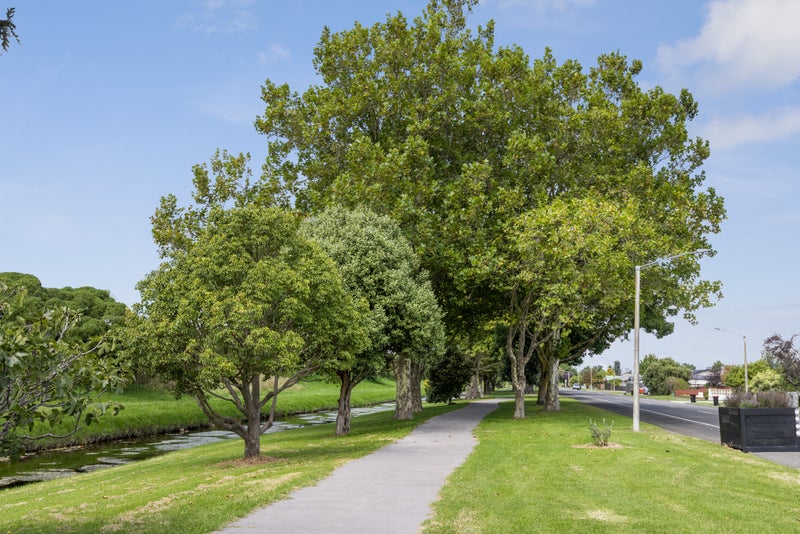 105 Westminster Avenue, Tamatea, Napier - Carousel 18