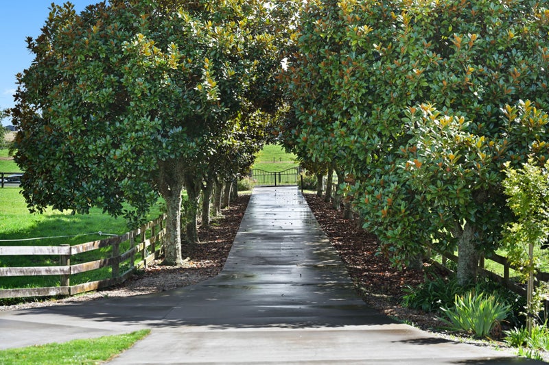 99 Robson Road, Ngahinapouri, Hamilton - Carousel 23