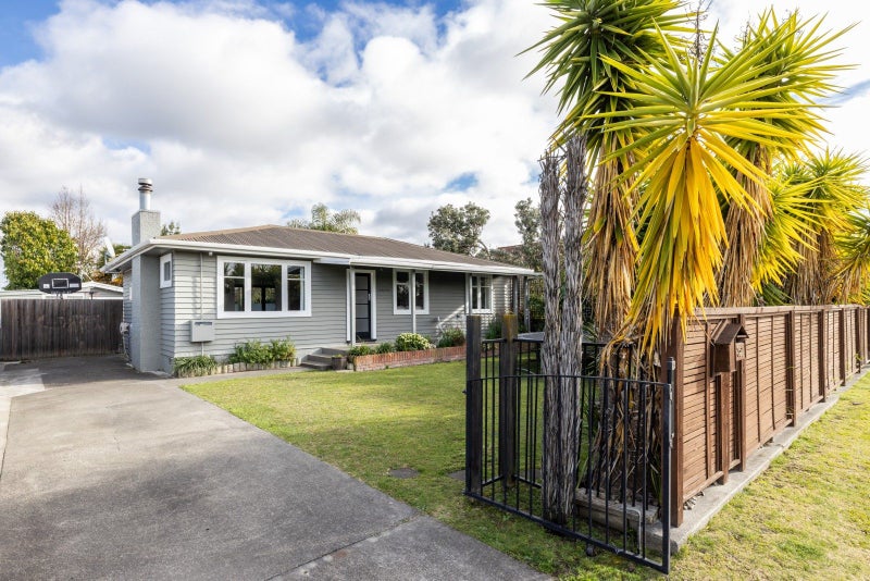 35A Park Road, Greenmeadows, Napier - Carousel 14