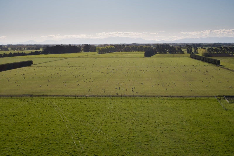 1346 Leeston Road, Leeston - Carousel 8