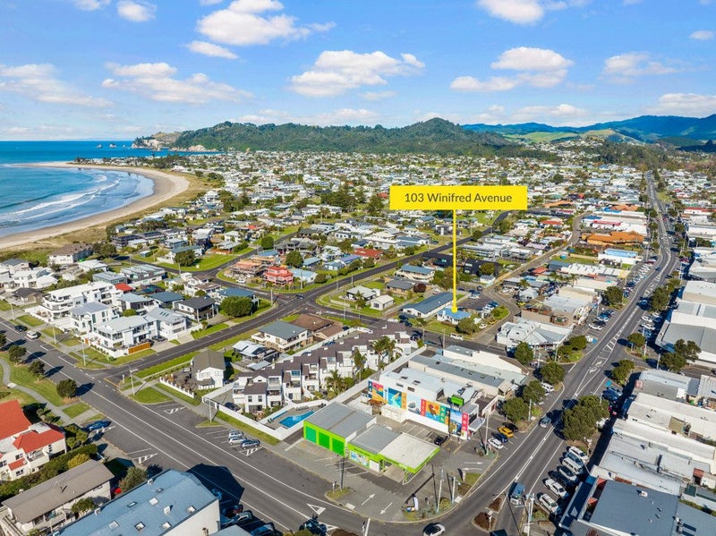103 Winifred Avenue, Whangamatā - Carousel 29