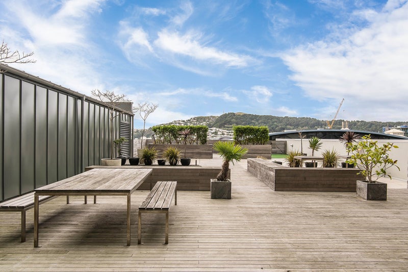 19C/9 Chews LANE, Wellington Central, Wellington - Carousel 13