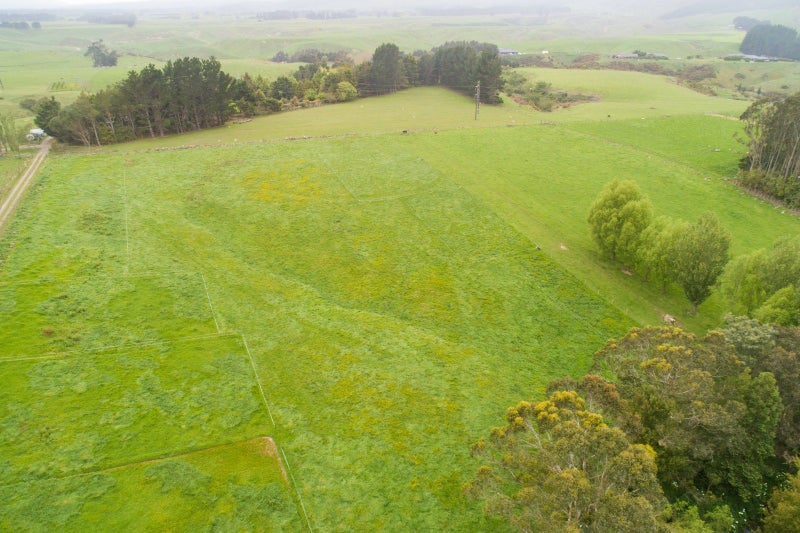39 Williams Road, Tokomaru, Palmerston North - Carousel 11