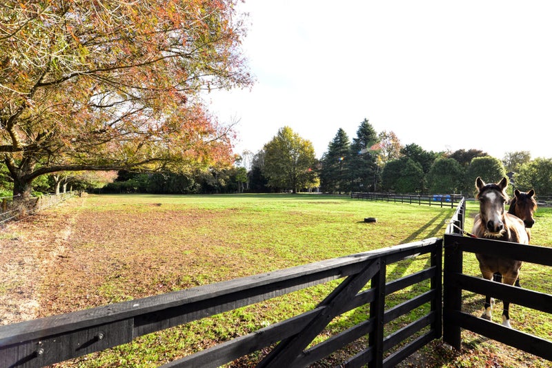 85A Windmill Road, Hamilton - Carousel 1