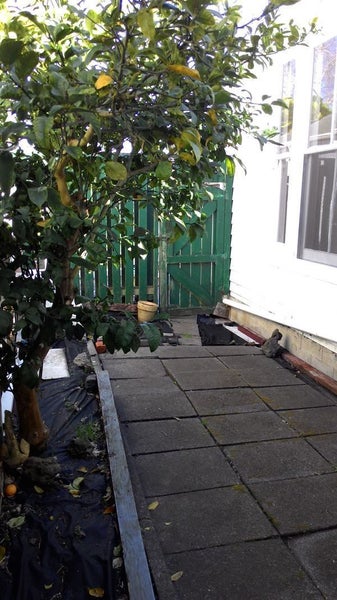 24 Bracken Avenue, Takapuna, Auckland - Carousel 8