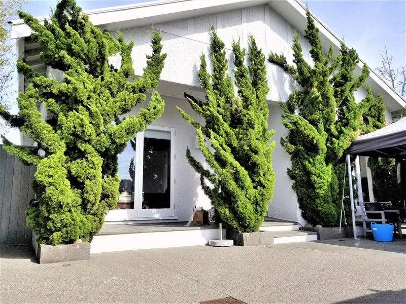 8 Old Mill Road, Grey Lynn, Auckland - Carousel 1