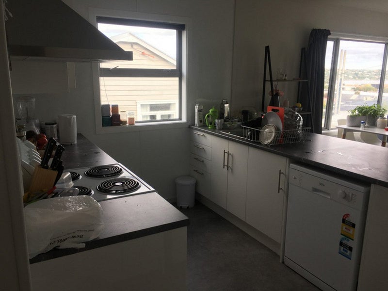 135 St David Street, North Dunedin, Dunedin - Carousel 4