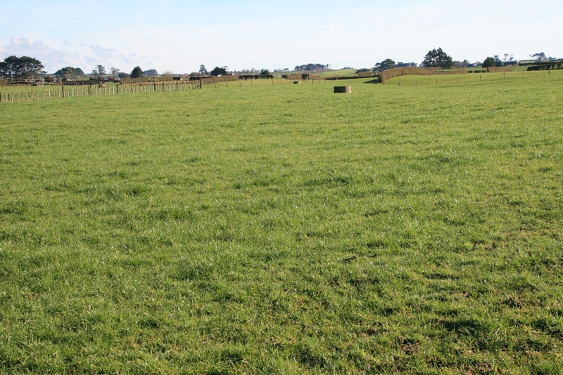 0 Climie Rd, Ngaere - Carousel 2