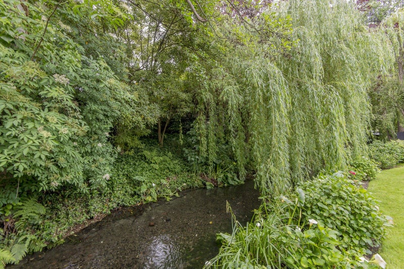 36 Weka Street, Fendalton, Christchurch - Carousel 26