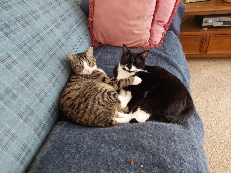 18 Karachi Crescent, Khandallah, Wellington - Carousel 33