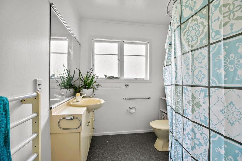 66 Queen Street, Te Kuiti - Carousel 20