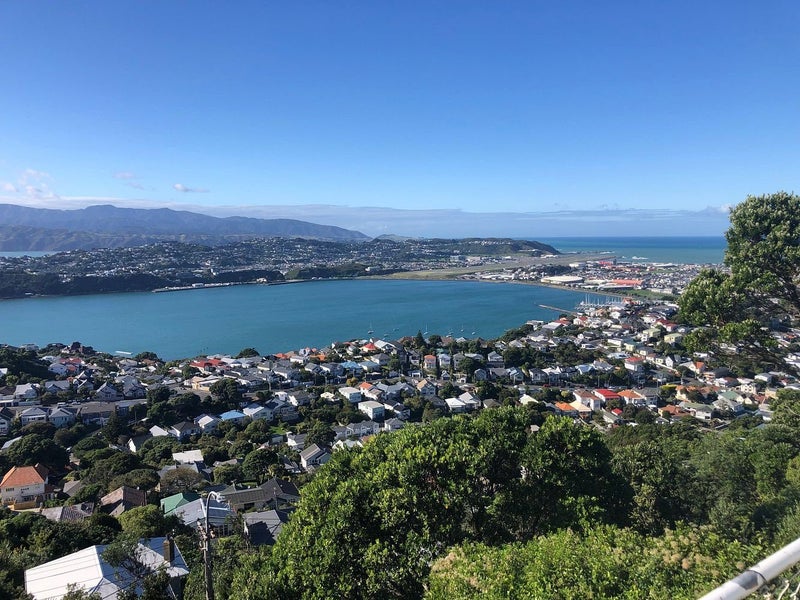 17B Marewa Road, Hataitai, Wellington - Carousel 2