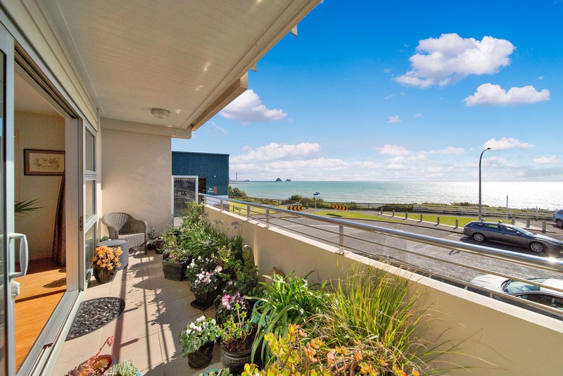 1/4 Buller Street, New Plymouth, New Plymouth - Carousel 1