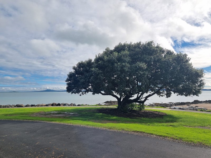 55 Te Pene Road, Maraetai, Auckland - Carousel 16