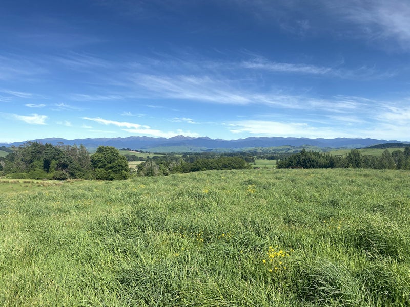 490 Bluff Rangitumau Road, Rangitumau - Carousel 2