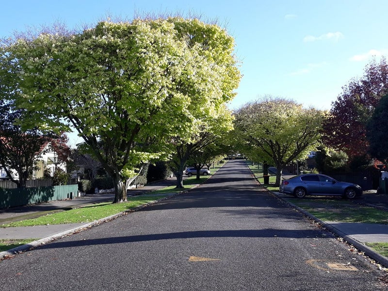 22B Rainforth Street, Roslyn, Palmerston North - Carousel 6
