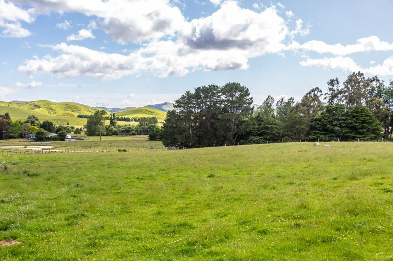 309 Mikimiki Road, Masterton - Carousel 39