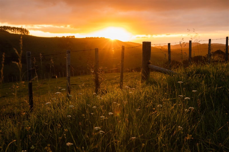 307 Dill Road, Kaipara Flats, Warkworth - Carousel 15