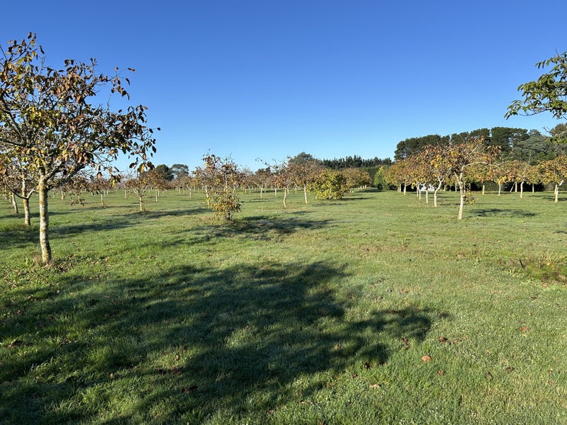 4/524 Weedons Road, Christchurch - Carousel 2