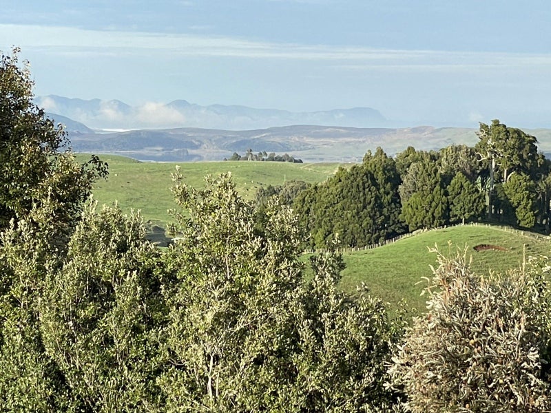 0 Newton Road, Raglan, Raglan - Carousel 11