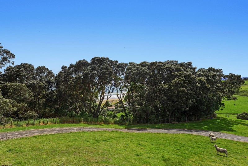59 Pohutukawa Drive, Waiotahe, Opotiki - Carousel 33