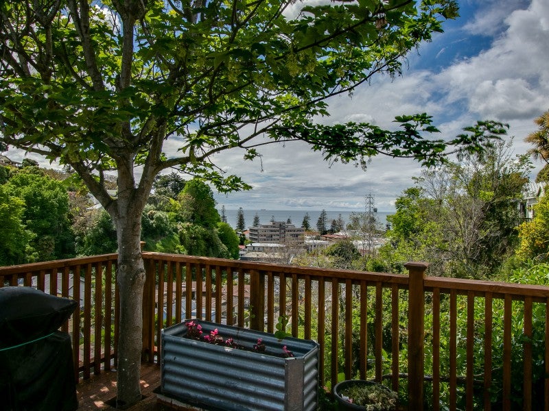 520 Shakespeare Terrace, Bluff Hill, Napier - Carousel 26