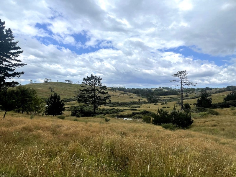 579 Duck Creek Road, Stillwater, Silverdale - Carousel 2