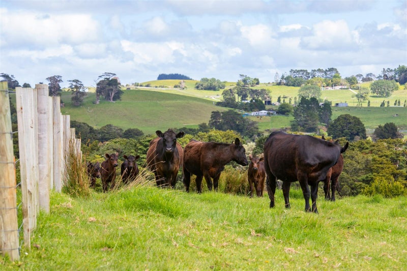 980 Whangaripo Valley Road, Whangaripo, Wellsford - Carousel 2