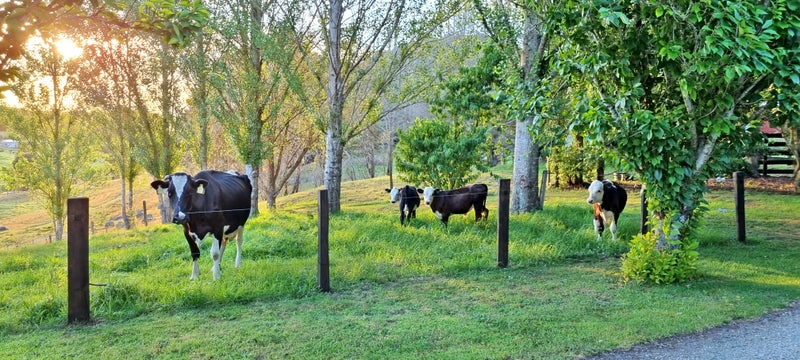 1231 Pipiwai Road, Whangarei - Carousel 2