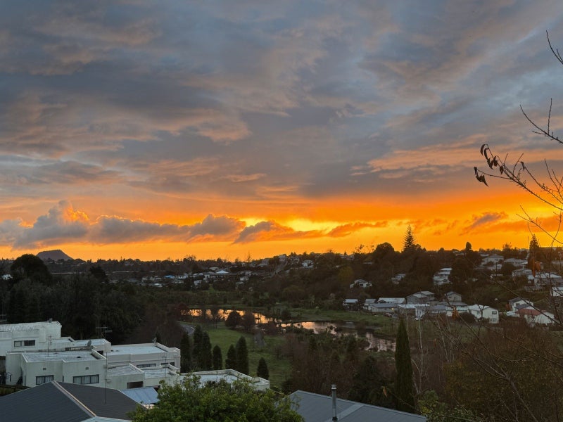 98 Coopers Road, Gate Pa, Tauranga - Carousel 16