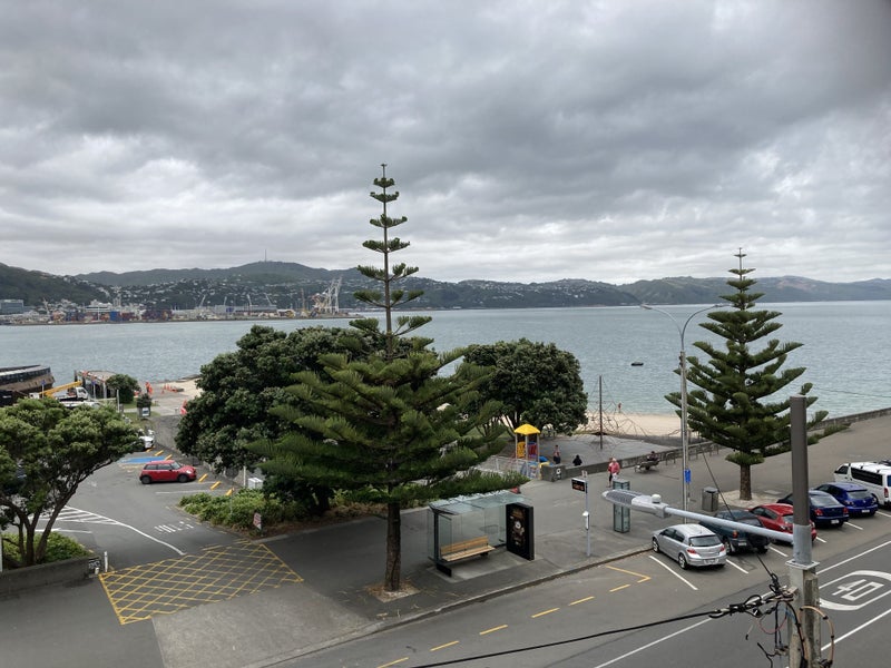 3/154 Oriental Parade, Oriental Bay, Wellington - Carousel 1