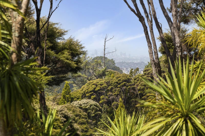 114 Mountain Road, Henderson Valley, Auckland - Carousel 2