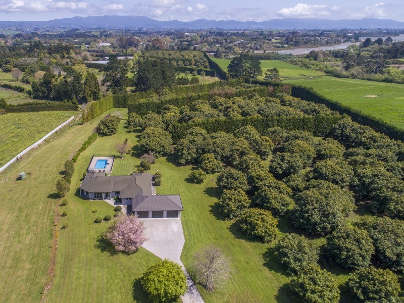 257 Te Puna Road, Te Puna - Carousel 26