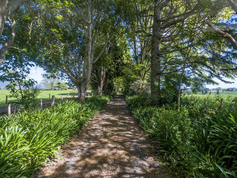 191 Bird Road, Pirongia, Te Awamutu - Carousel 1