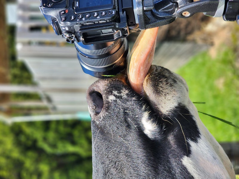 115 Hawkens Road, Makarau, Warkworth - Carousel 29