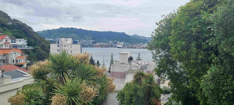 216 Oriental Parade, Oriental Bay, Wellington - Carousel 8