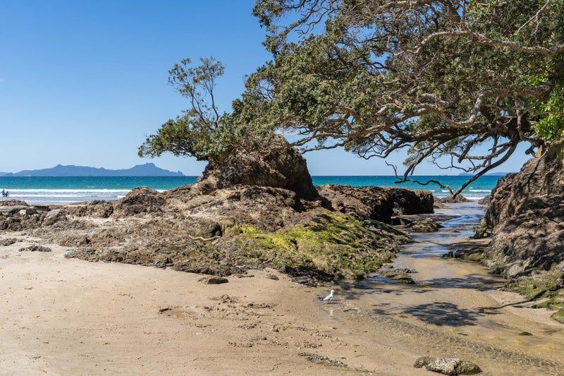 438 Glenmohr Road, Waipu, Waipu - Carousel 14