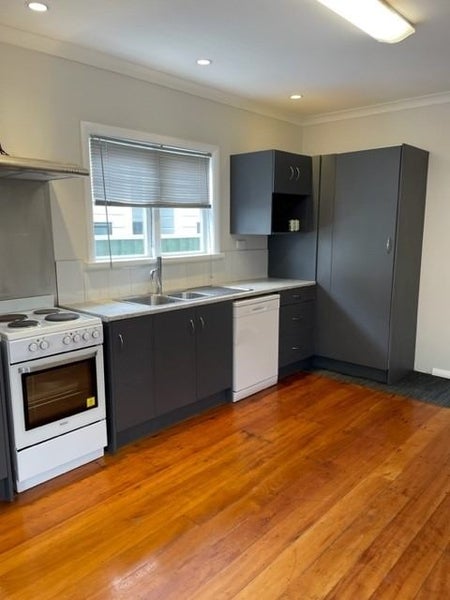 19 Waione Street, Petone, Lower Hutt - Carousel 2