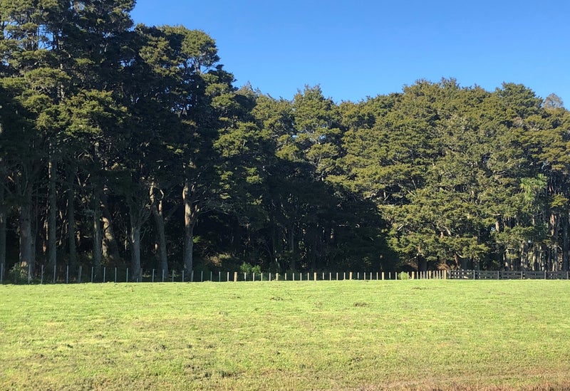 43 Vogwill Road, Kumeū - Carousel 6