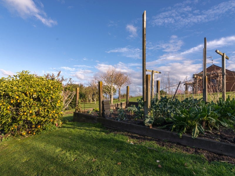 28 Atkins Lane, Hamurana - Carousel 25